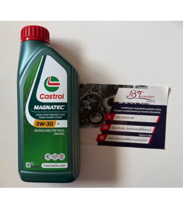 1612B2 CASTROL Magnatec P 5W30