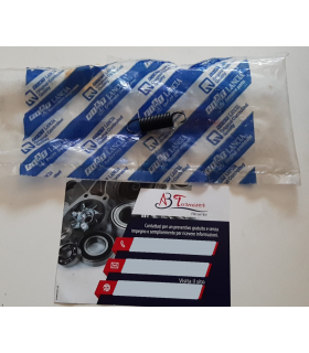 4249840 MOLLA FIAT 500-DUNA ORIGINALE