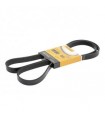 CONTITECH Cinghia Poly-V  Numero articolo: 6PK1836
