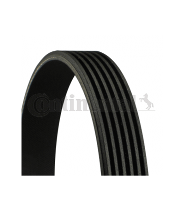 CONTITECH Cinghia Poly-V  Numero articolo: 6PK1836