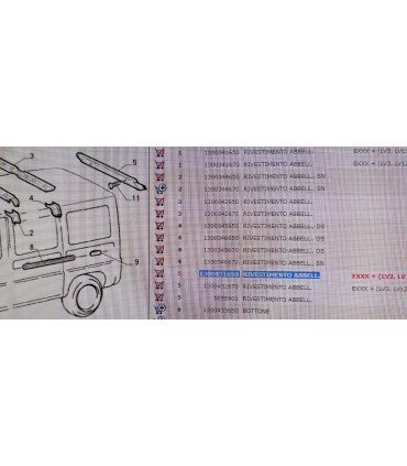 1300431650	RIVESTIMENTO ABBELLIMENTO POSTERIORE DUCATO