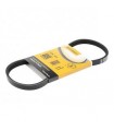CINGHIA SCANALATA MICRO-V CONTITECH Numero articolo: 4PK673