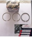 FIAT 71739948 FASCE PER PISTONE  FIAT IDEA- PALIO LANCIA Y