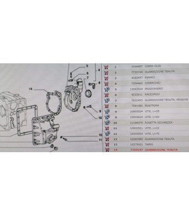 GUARNIZIONE CARTER DISTRIBUZIONE FIAT 126 BIS - CINQUECENTO ORIGINALE 7764147