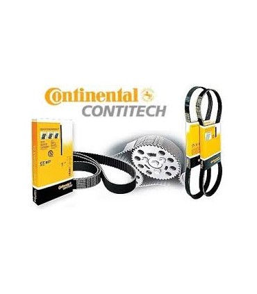 CONTITECH Cinghia dentata  N° denti: 129
