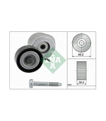 TENDICINGHIA AUSILIARIO CINGHI SERVIZI FIAT MOT 1.3 MJ 70/75CV INA 534060710