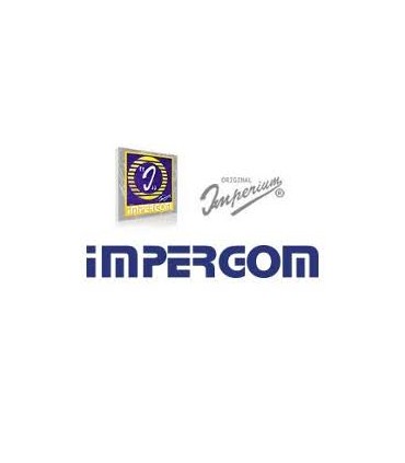 KIT RIPARAZIONE CUSCINETTO AMMORTIZZATORE A MOLLA ANTERIORE IMPERGOM 25743