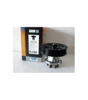 Saleri SIL PA1393 POMPA ACQUA MOTORI 13 MJ