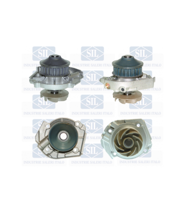 Saleri SIL Pompa acqua  N° denti: 24 Numero articolo: PA983A