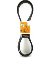 CONTITECH Cinghia Poly-V  Numero articolo: 6PK2260
